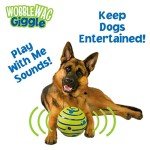 Wobble Wag Giggle Dog Toy Ball