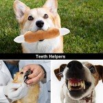 12 Plush Squeaky Toys for Small to Medium Dogs