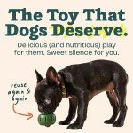 WOOF Pupsicle - Durable Fillable Dog Toy