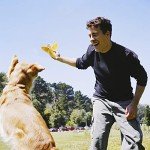 12 Plush Squeaky Toys for Small to Medium Dogs