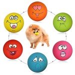 Dog Squeaky Toy Set with Smiling Face - 6 Pack
