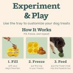 WOOF Starter Pack: Pupsicle & Treat Mold Set