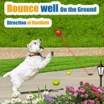 Soft Rubber Squeaky Dog Chew & Fetch Balls