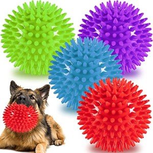 Set of 4 Durable Squeaky Dog Balls