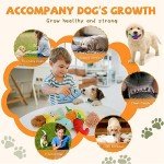 Charming Plush Squeaky Toy Set for Puppies