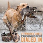 SportDOG 425 Remote Dog Training Collar - 500 Yards
