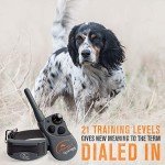 SportDOG FieldTrainer 425XS Remote Dog Training Collar