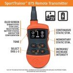 SportDOG Remote Dog Trainer E-Collar - 1/2 Mile