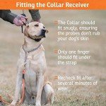 SportDOG 425 Remote Dog Training Collar - 500 Yards