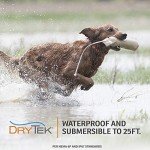 SportDOG Remote Dog Trainer E-Collar - 1/2 Mile