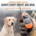 SportDOG SportTrainer 1275 Waterproof E-Collar, 3/4 Mile