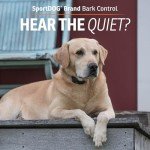 SportDOG NoBark SBC-8 Waterproof Bark Control Collar