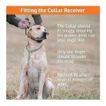 SportDOG SportHunter 1225X Rechargeable Dog Trainer Collar