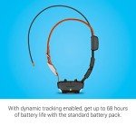 Garmin Alpha TT 25 Dog GPS Tracker & Trainer