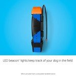 Garmin T 5X GPS Dog Tracker & Training Collar