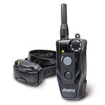 Dogtra 200C Remote Training E-Collar for Dogs