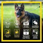 Dogtra ARC Handsfree Remote Training E-Collar