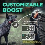 Dogtra 280C Waterproof E-Collar with Remote Trainer