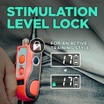 Dogtra 280C Waterproof E-Collar with Remote Trainer