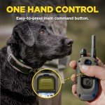 Dogtra 1900X E-Collar for Stubborn Dogs