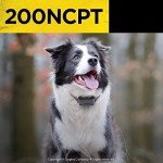 Dogtra 200NCPT Electronic Training Collar for All Dogs