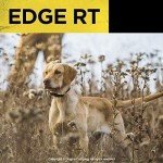 Dogtra Edge RT 1-Mile Waterproof Remote Dog E-Collar