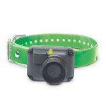 Dogtra T&B Long Range Training E-Collar Receiver