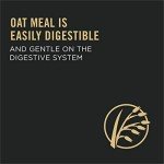 Purina Pro Plan Salmon & Rice Dog Food 16 lb