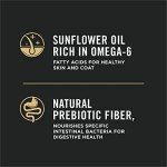 Purina Pro Plan Salmon & Rice Dog Food 16 lb