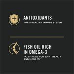 Purina Pro Plan Salmon & Rice Dog Food 16 lb