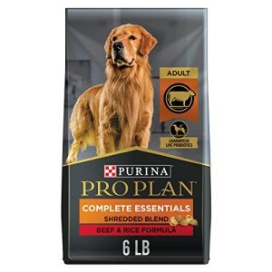 Purina Pro Plan Beef & Rice Dog Food 6 lb