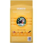 IAMS Puppy Chicken & Whole Grains Dry Food
