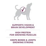 Purina ONE Healthy Puppy Dry Dog Food, 8-Pound