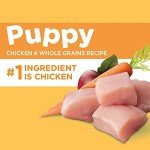 IAMS Puppy Chicken & Whole Grains Dry Food