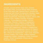 IAMS Puppy Chicken & Whole Grains Dry Food