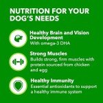 Iams Smart Puppy Dry Dog Food, Chicken Flavor
