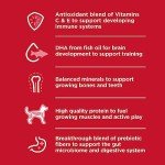 Hill's Science Diet Small Paws Puppy Food 4.5 lb