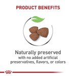 Royal Canin Mini Puppy Dry Dog Food, 2.5 lb