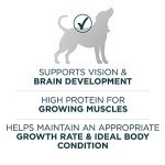 Purina ONE Natural Dry Puppy Food - Variety Pack