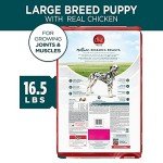Purina ONE Natural Dry Puppy Food - Variety Pack