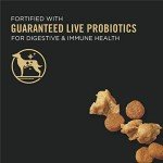 Purina Pro Plan Puppy Chicken and Rice Dog Food