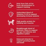 Hill's Science Diet Puppy Chicken & Barley Food