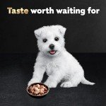 Cesar Wet Puppy Food Trays for Dogs