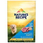 Nature's Recipe Lamb & Rice Puppy Dog Food, 12 lb