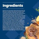 Blue Buffalo Lamb and Oatmeal Puppy Dry Dog Food