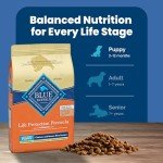 Blue Buffalo Vita Protezione Puppy Dry Food