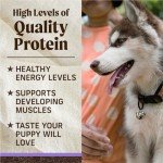 Merrick Grain-Free Dry Puppy Food with Beef & Sweet Potato