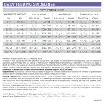 Premium Puppy Food - 6.6 lbs. Bag