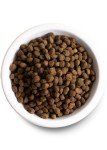 Open Farm Ancient Grains Puppy Dry Food 4lbs