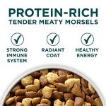 Purina ONE Large Breed Puppy Dry Food - 40 lbs